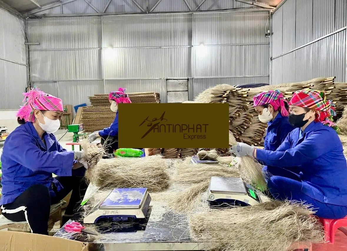 Giải Pháp Bảo Quản Miến dong An Toàn Tuyệt Đối Giải Pháp Bảo Quản Miến dong An Toàn Tuyệt Đối