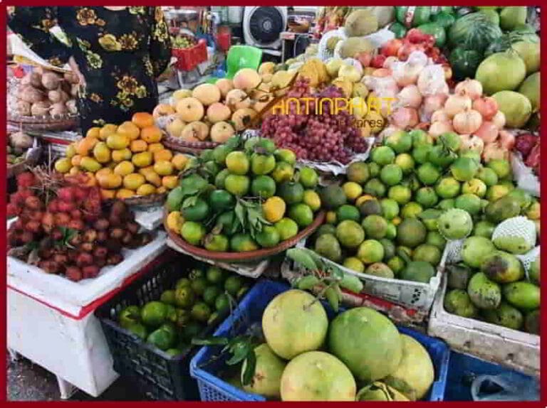 Gửi trái cây đi Úc Australia nhanh chóng tránh hư hỏng